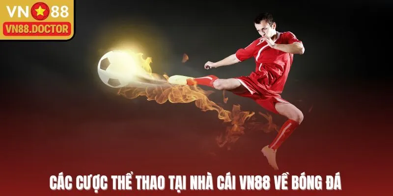 Các cược thể thao tại nhà cái VN88 về bóng đá