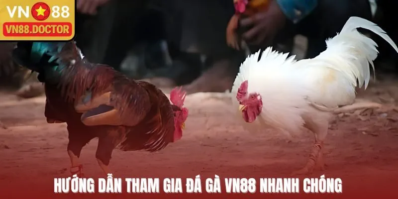 Hướng dẫn tham gia đá gà VN88 nhanh chóng